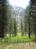 PICTURES/Kings Canyon National Park/t_Kings Canyon-Zumwalt Meadow6.JPG